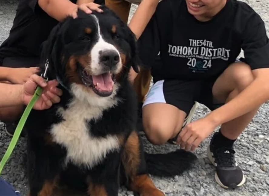 不登校児K君のケース